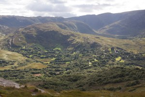 20150831-Beara-2015107