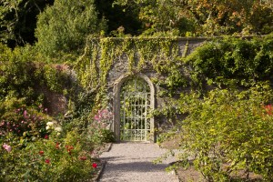 20150904-Garinish-2015060