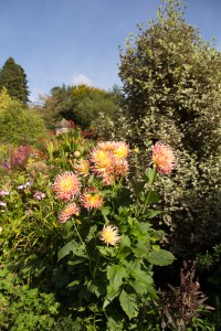 20150904-Garinish-2015063