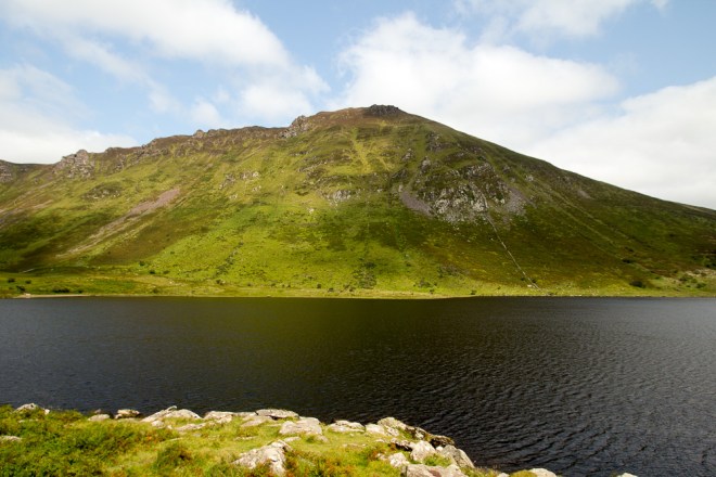 20150905-Anascaul-2015016