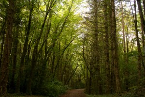 20150929-Clonbur-2015272