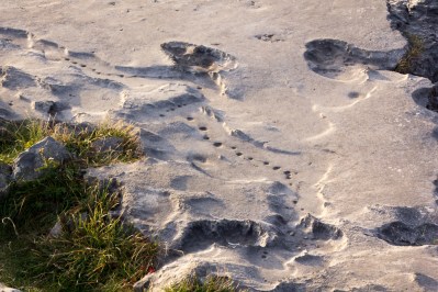 20151012-MoherFanore1-2015103