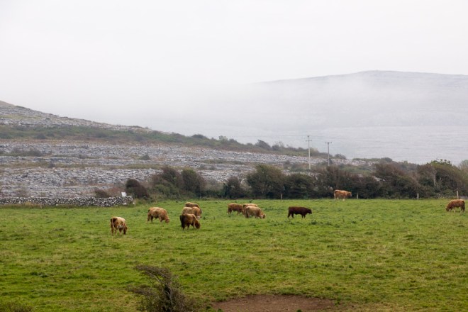 20151017-BishopsQuay2-2015006