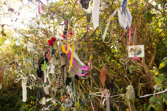 20151019-SpanishPt-2015069