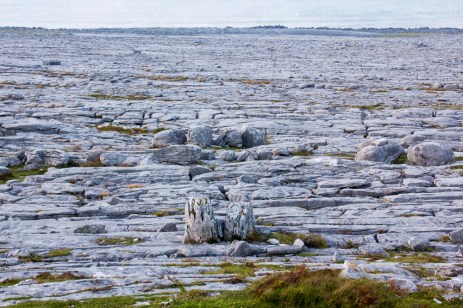 20151104-FanoreBurren-2015013