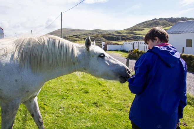 20150823-Beara-2015032