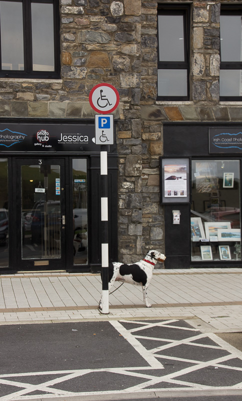 20151003-Westport03Oct-2015002