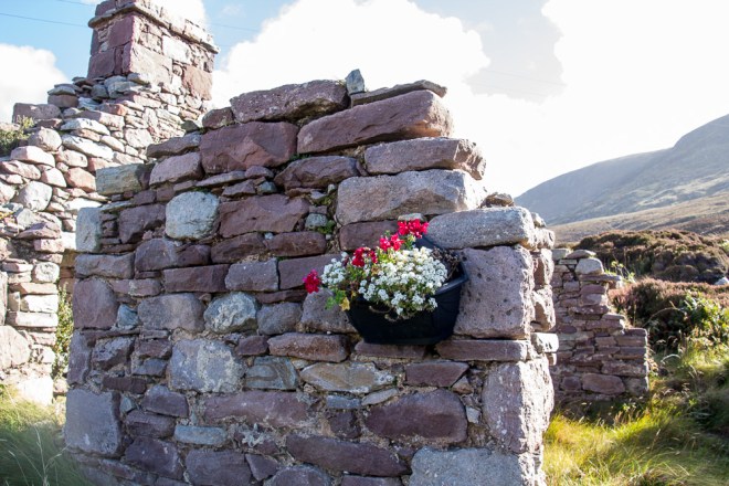 20151008-Westport-2015086