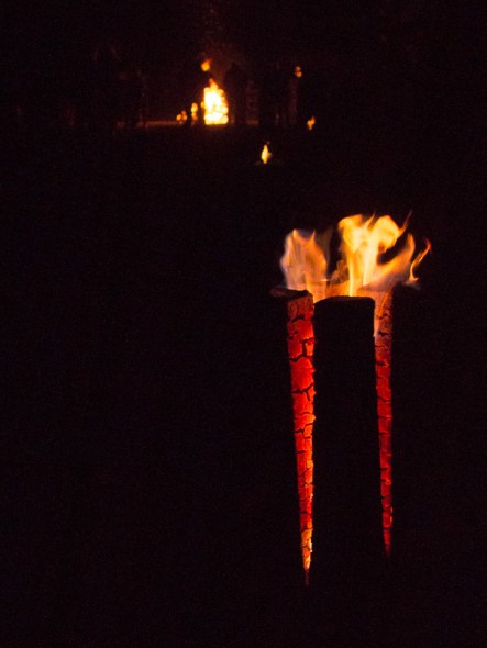 20151031-untitled shoot-2015042