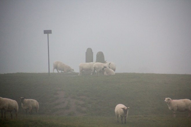 20151102-Newgrange-2015014