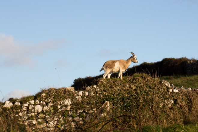 20151107-BishopBurrenNov-2015046